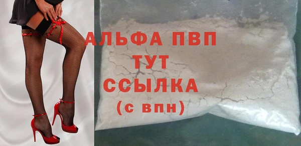 прущие грибы Белокуриха