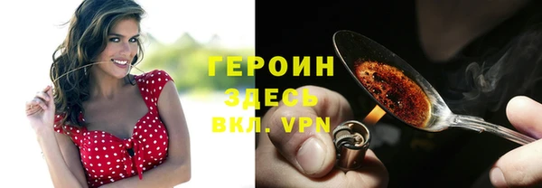 прущие грибы Белокуриха