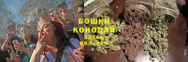 прущие грибы Белокуриха