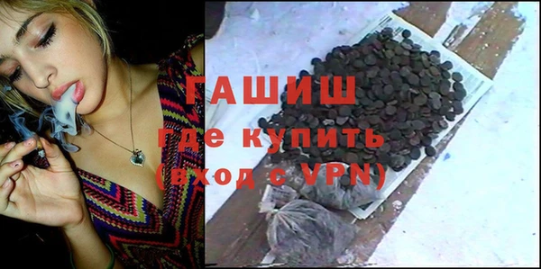 прущие грибы Белокуриха