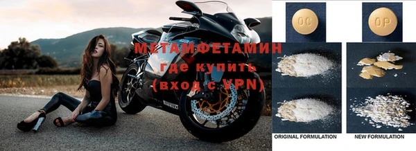 прущие грибы Белокуриха