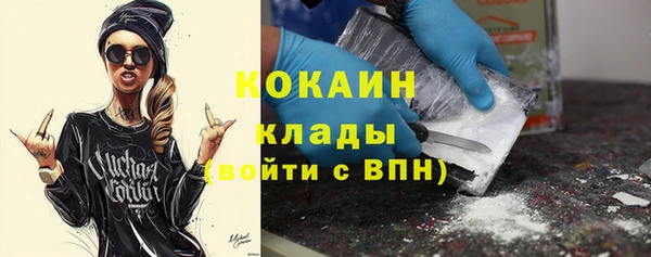 прущие грибы Белокуриха