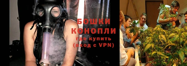 прущие грибы Белокуриха